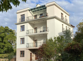 Vila Maister Celje